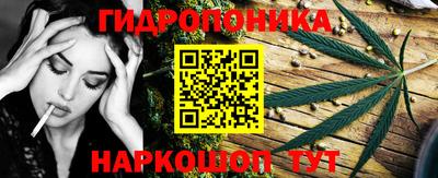 ECSTASY Бийск